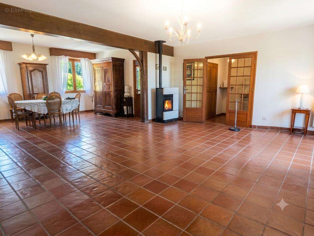 Maison à CREUZIER-LE-VIEUX