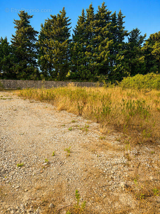 Terrain à ROCHEFORT-DU-GARD