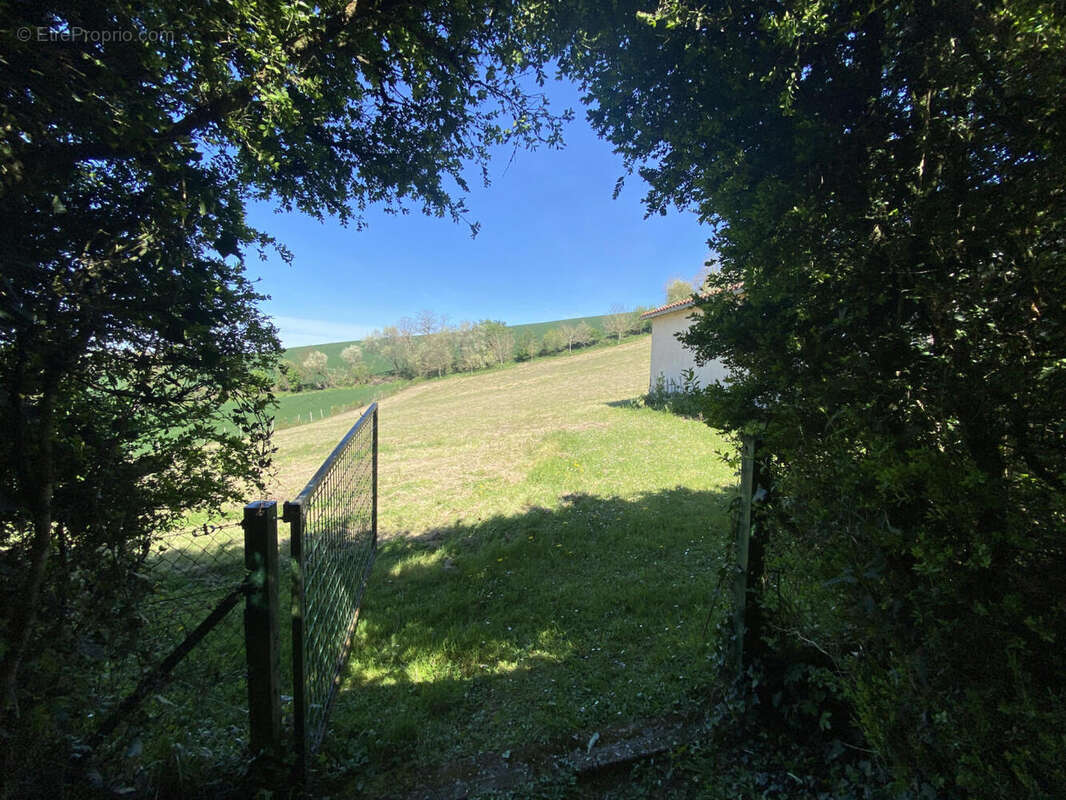 VERS PRAIRIE - Maison à MONTMOREAU-SAINT-CYBARD