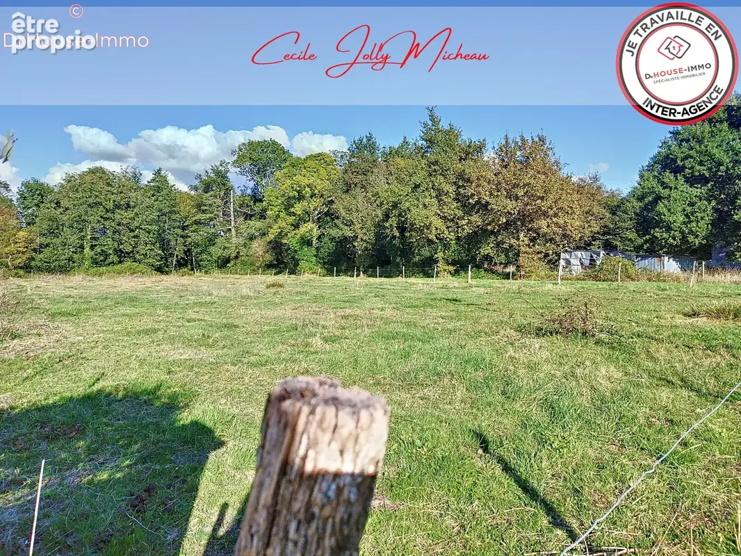 Terrain 4 392 m² à vendre à Cartelegue (33390) - photo 19