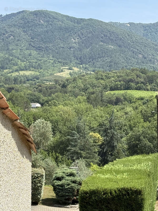 Villa d’architecte avec piscine, appartement indépendant et vaste hangar aux portes de Limoux - photo 3