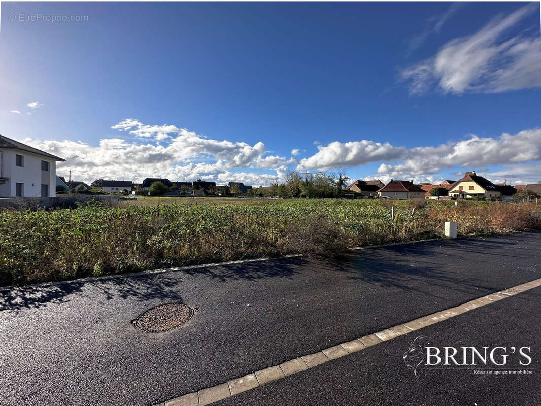 Terrain à MEYENHEIM