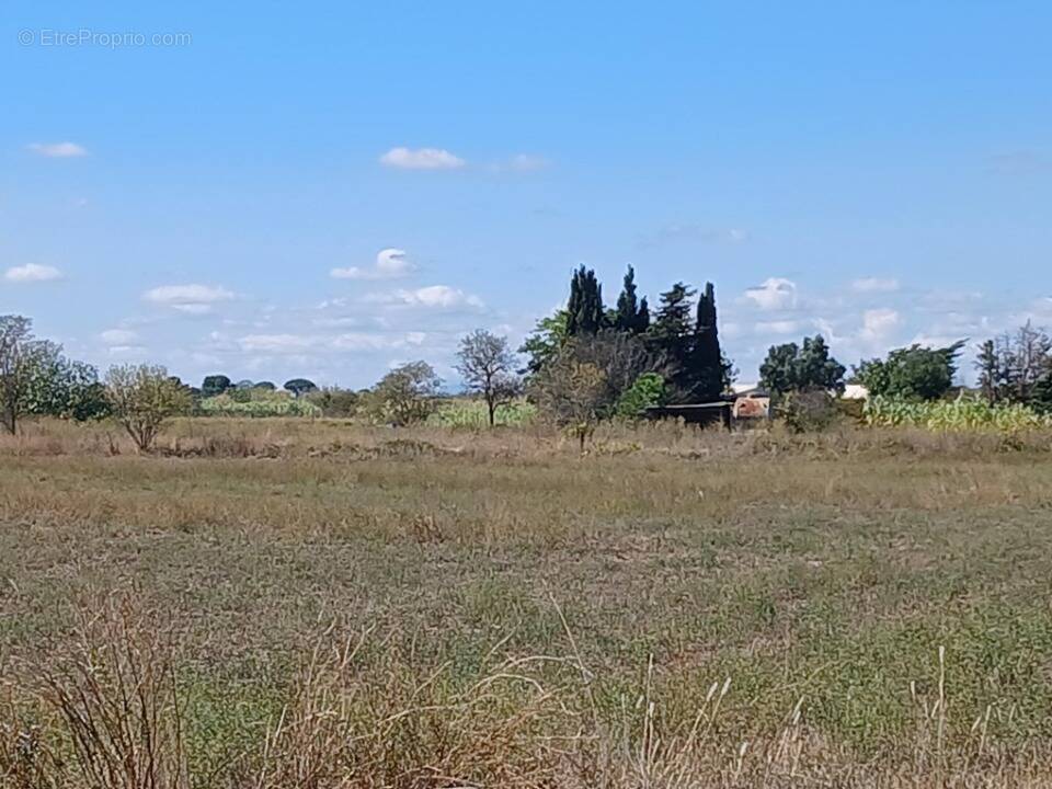 Terrain à PORTIRAGNES