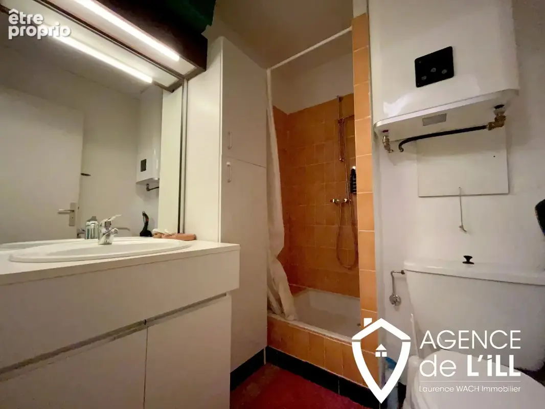 appartement 22m2 à 3 épis (Ammerschwihr) - photo 3