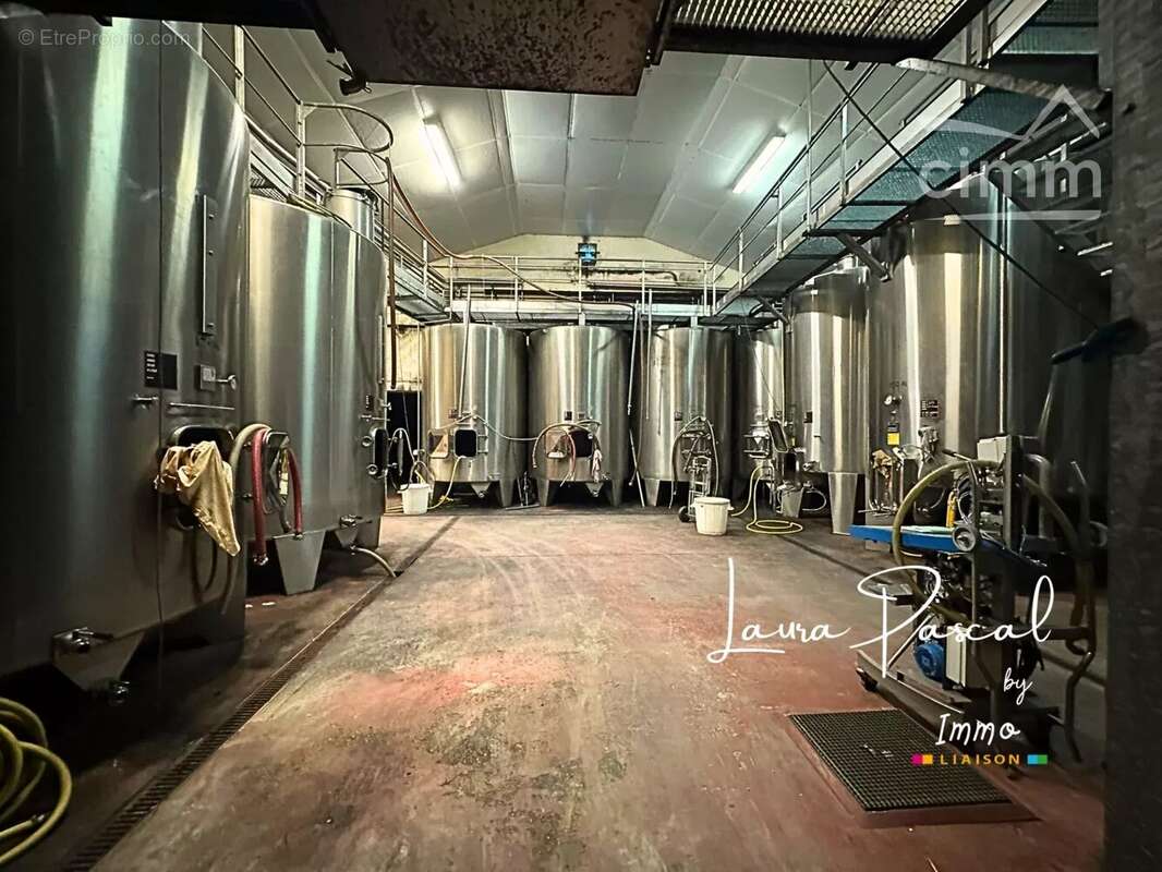 Maison à PLEINE-SELVE