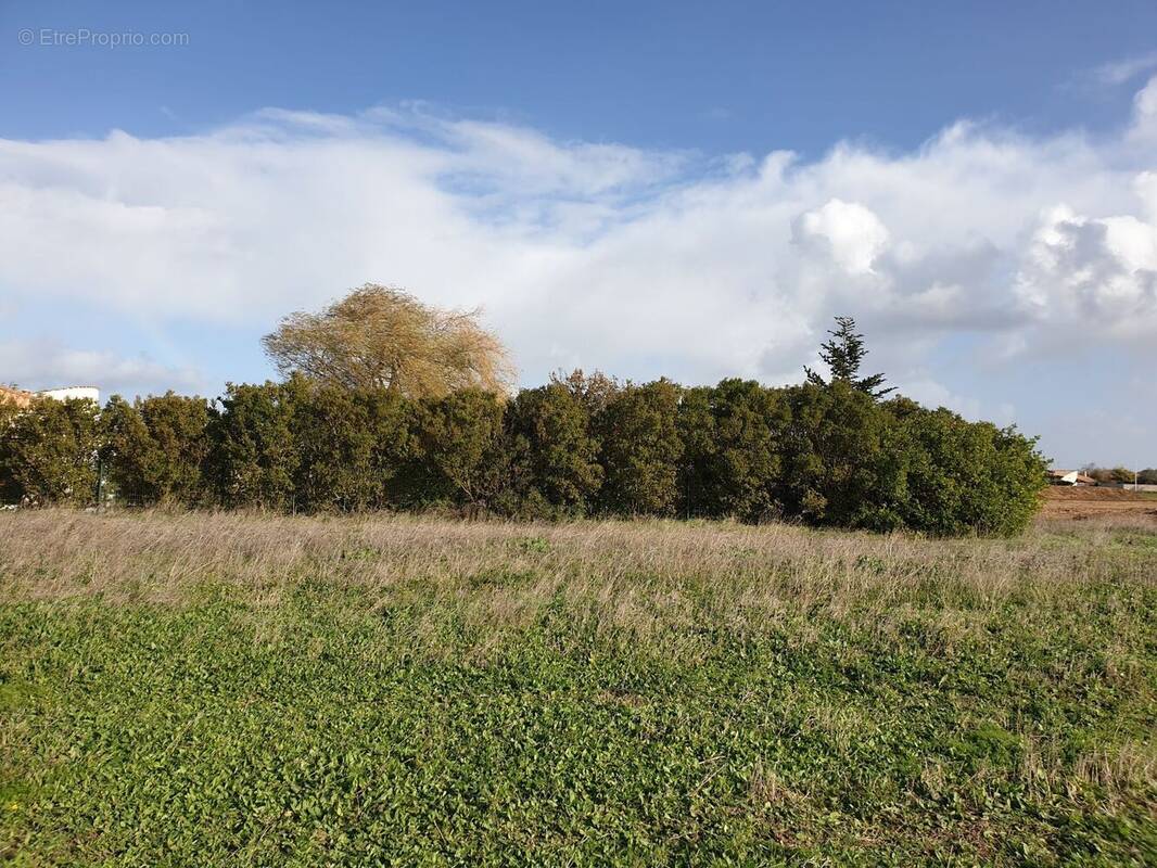 Terrain à ANDILLY