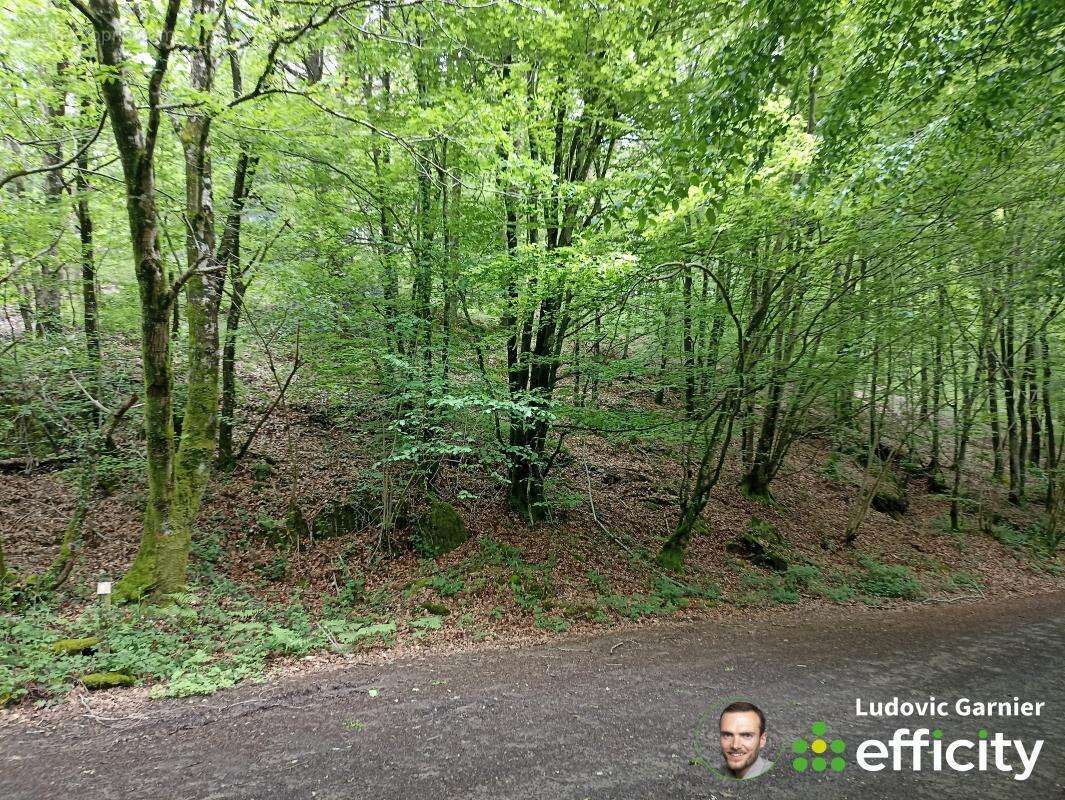 Terrain à JUVIGNY-LE-TERTRE