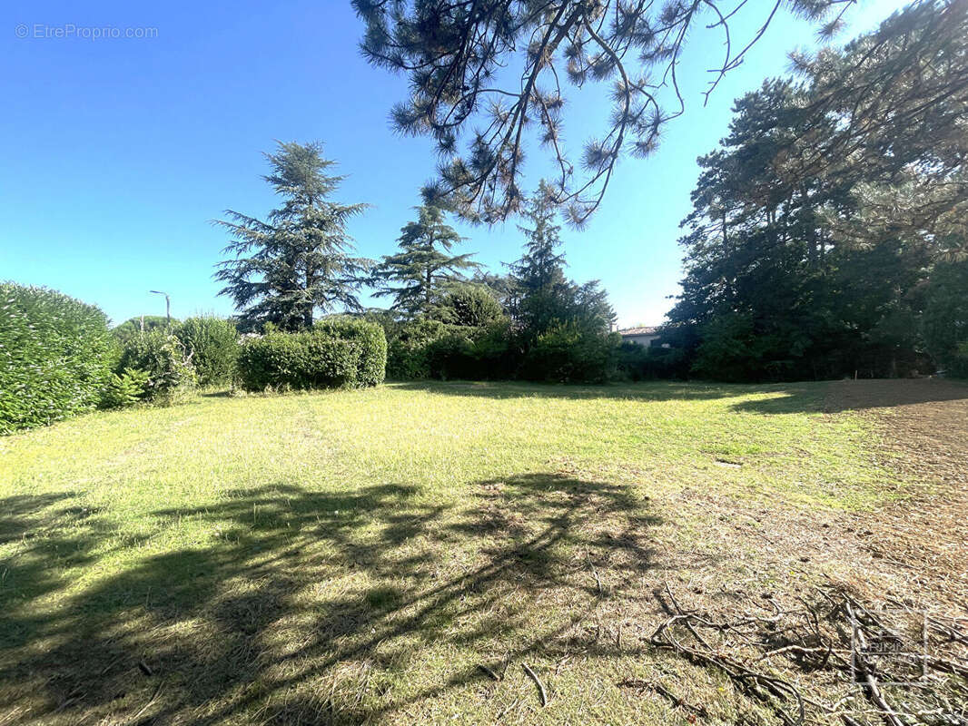 Terrain à SAINT-DIDIER-AU-MONT-D'OR