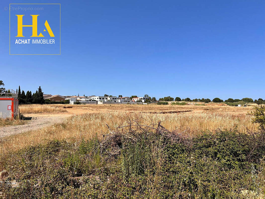 Terrains viabilisés de 222 m² à 960 m² - LATOUR BAS ELNE- SAINTCYPRIEN - photo 2