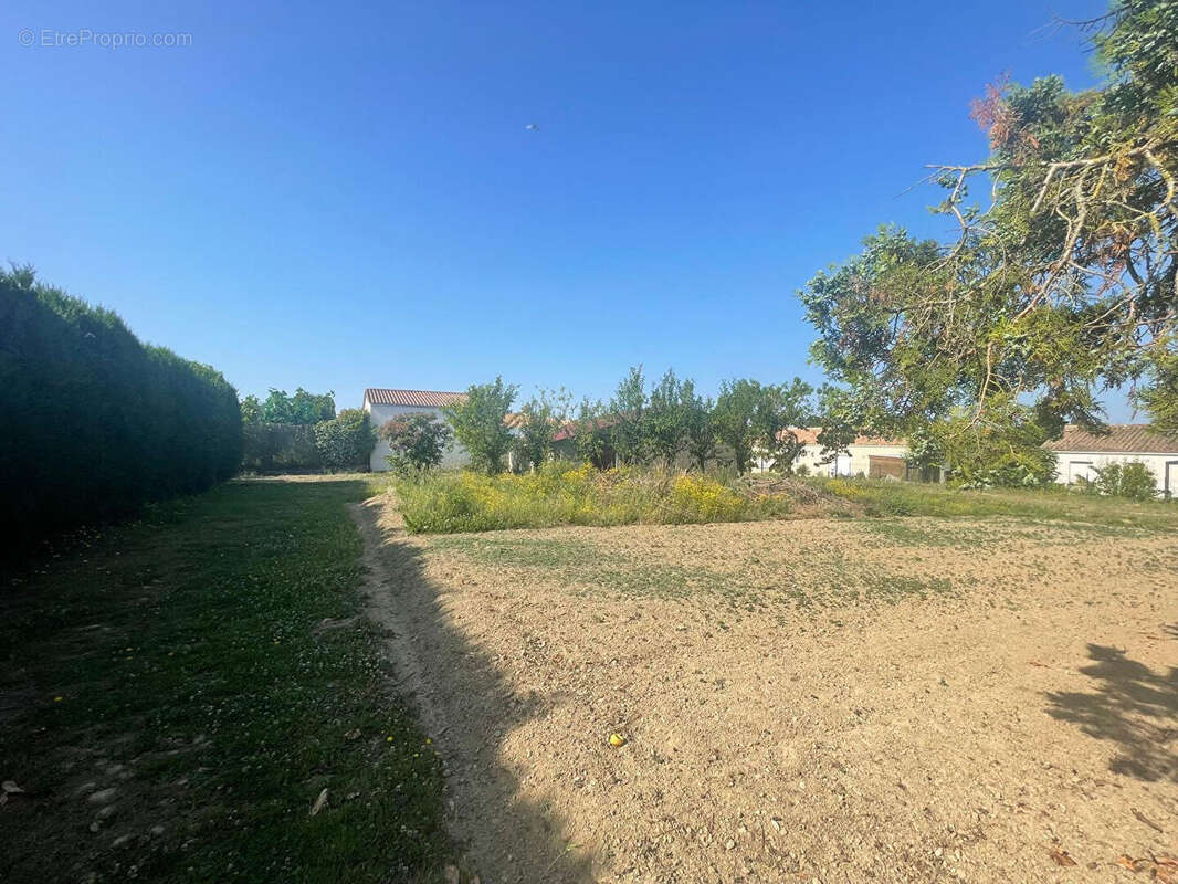 Terrain à LA CHAPELLE-ACHARD