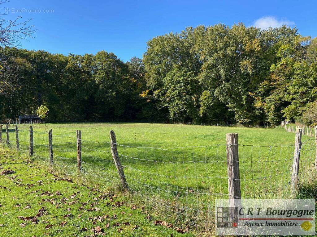 Maison à MOULINS-SUR-OUANNE