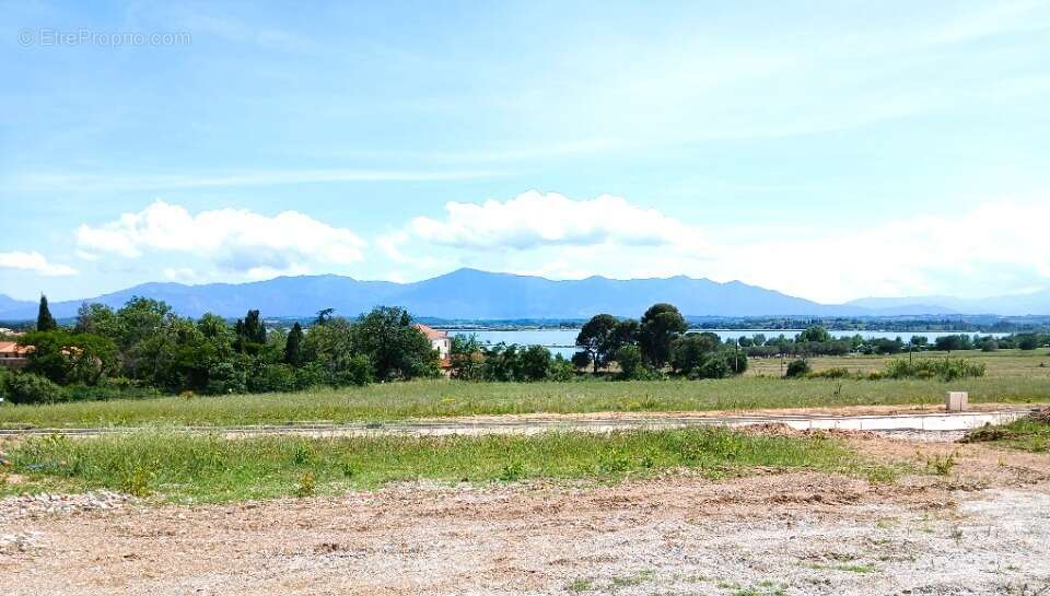 Terrain 1200 m² à Villeneuve-De-La-Raho  - photo 2