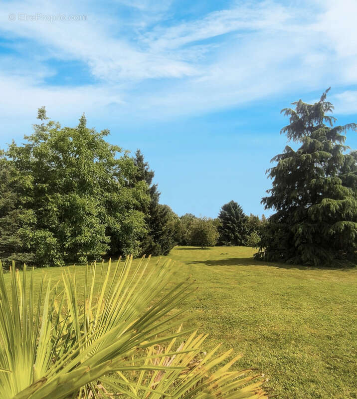 Maison à CHATEAU-THIERRY
