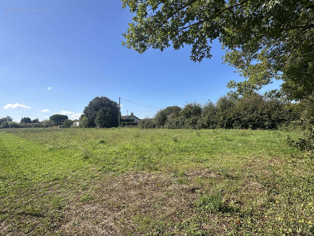 Terrain à LATILLE