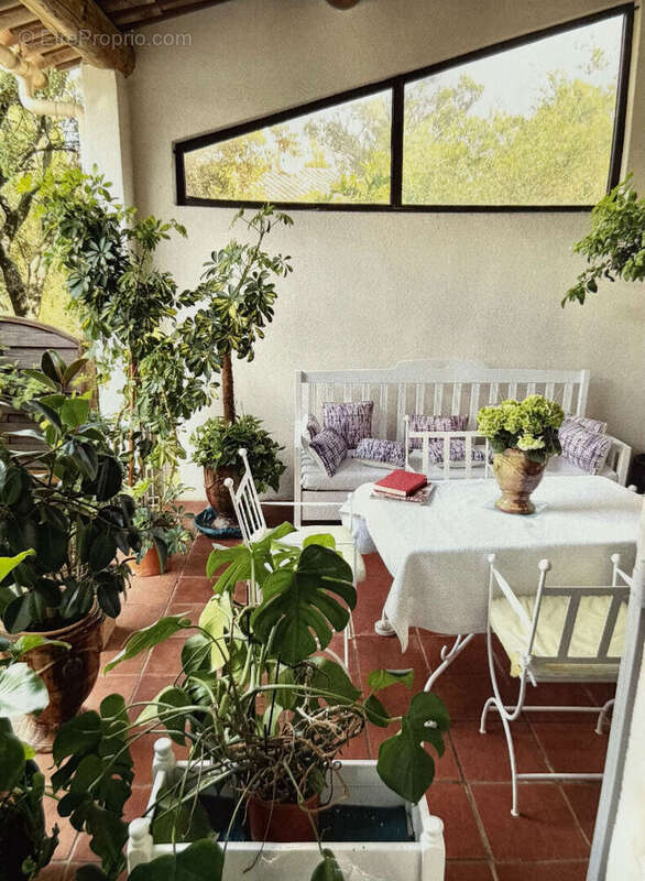 Viager occupé , Belle maison provençale avec piscine  Villeneuve-lès-Avignon - photo 5