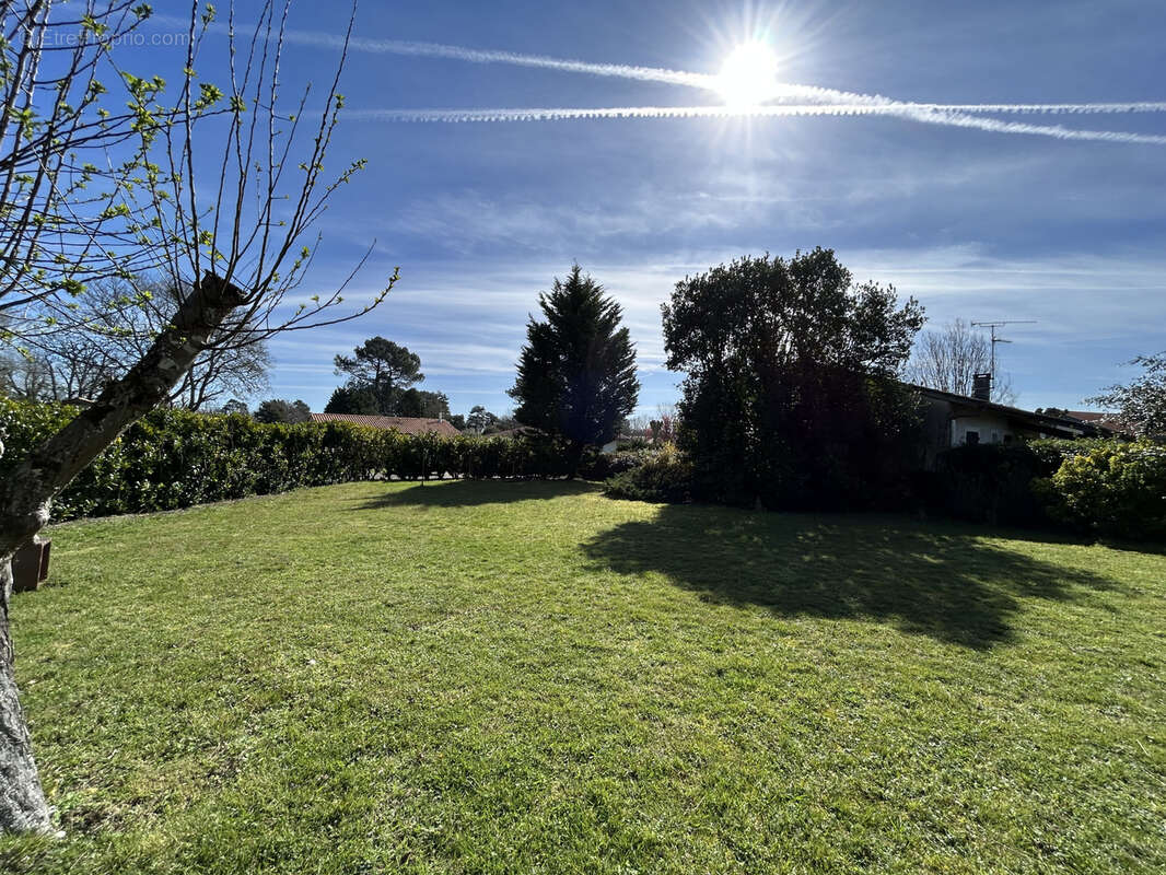 Terrain de 529m2 - quartier calme Seignosse bourg - photo 3