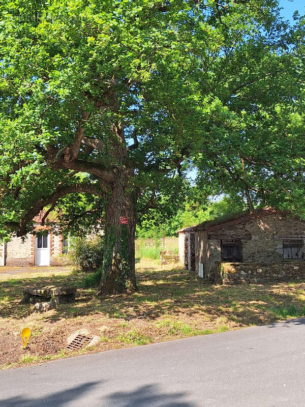 Maison à LA CHAPELLE-HEULIN