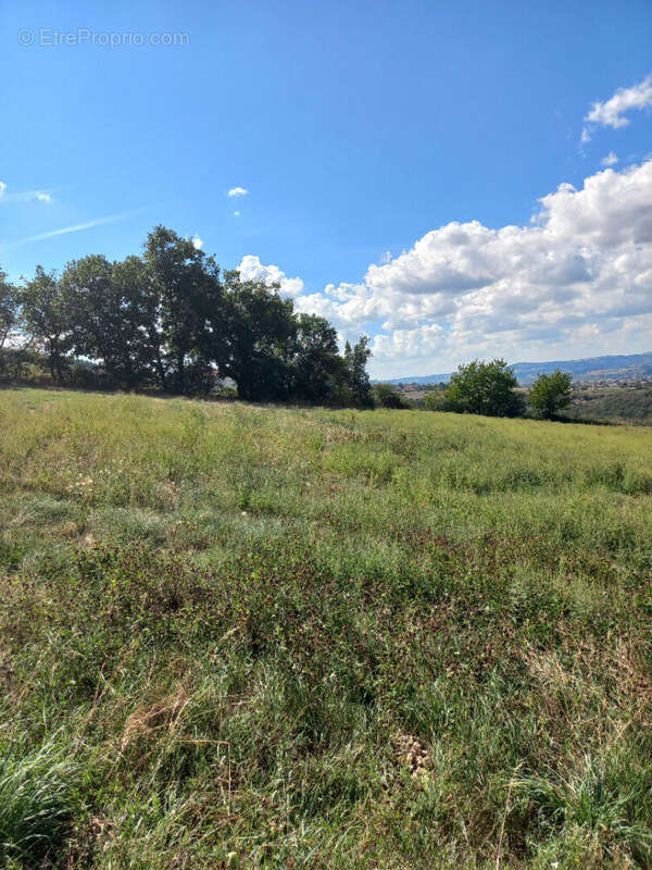 Terrain à CHATEAUNEUF