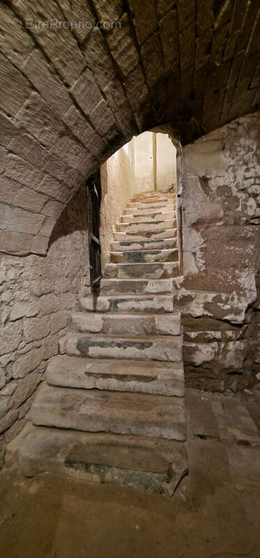 Maison à LA ROCHE-POSAY