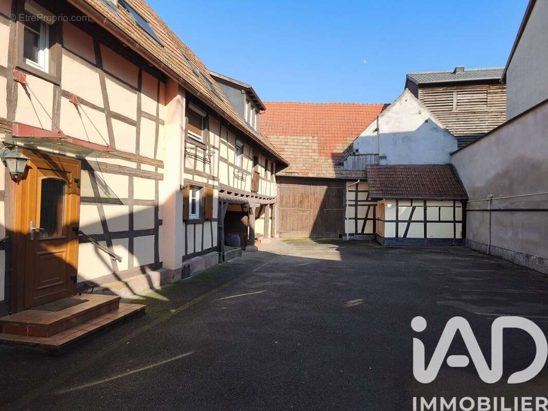 Photo 3 - Maison à MOMMENHEIM