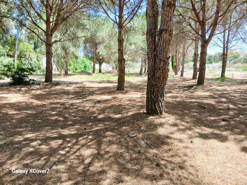 Terrain à PERPIGNAN