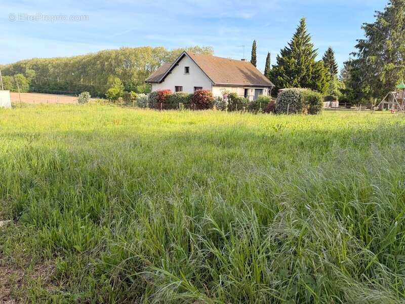 Terrain à AUXONNE