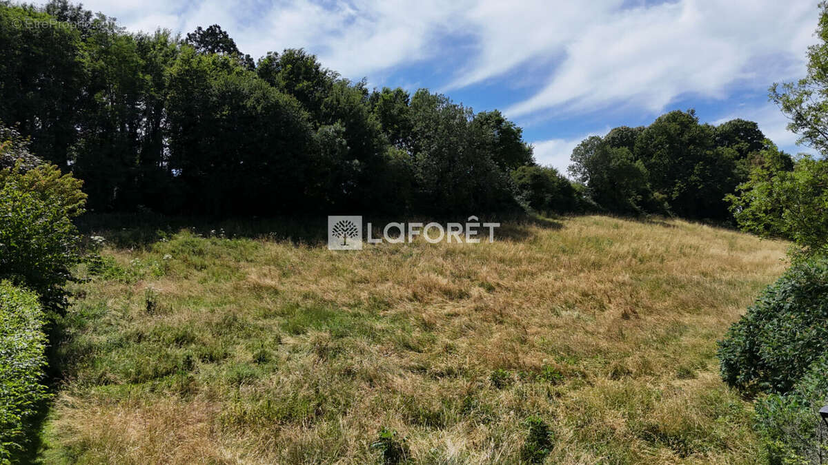 Terrain à CHATILLON-SUR-CHALARONNE