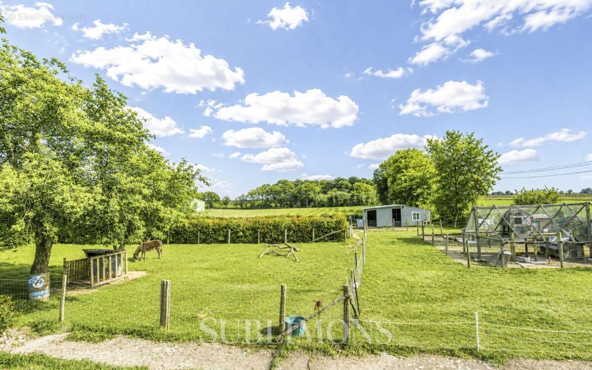Exclusivité Maison de campagne avec grand terrain entièrement - photo 11
