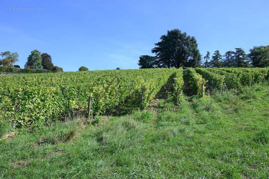 Maison à VERNOU-SUR-BRENNE
