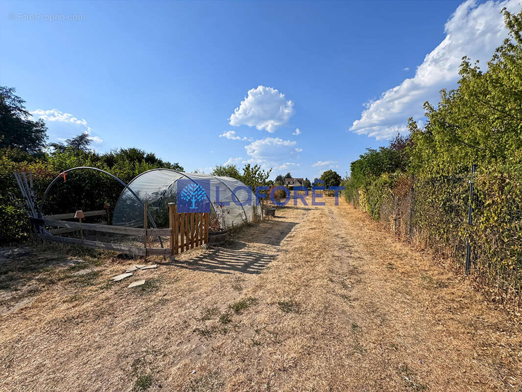 Maison Chouzé Sur Loire 6 pièces - photo 9
