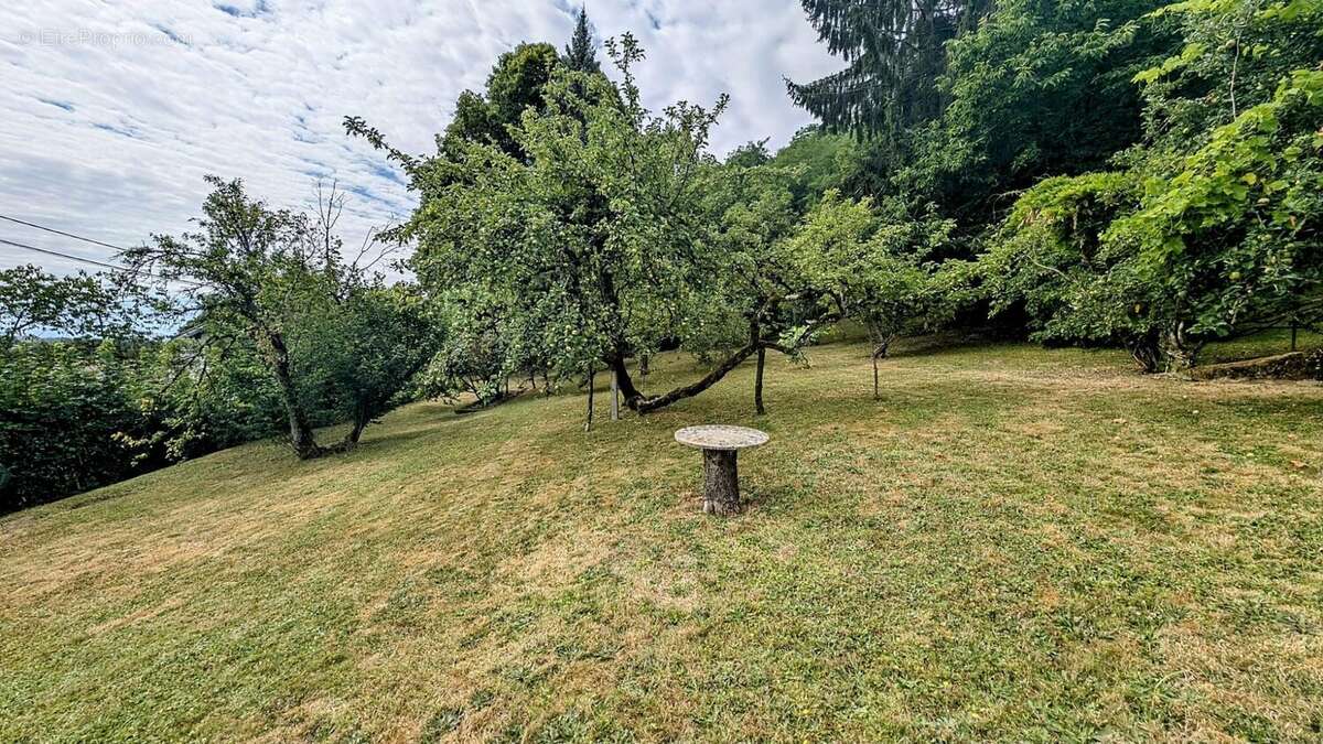 Terrain à MONNETIER-MORNEX