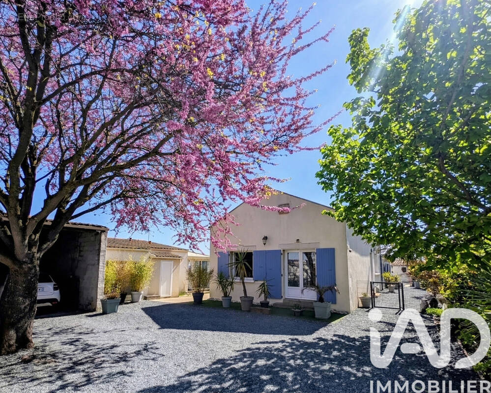 Photo 1 - Maison à AIGREFEUILLE-D'AUNIS