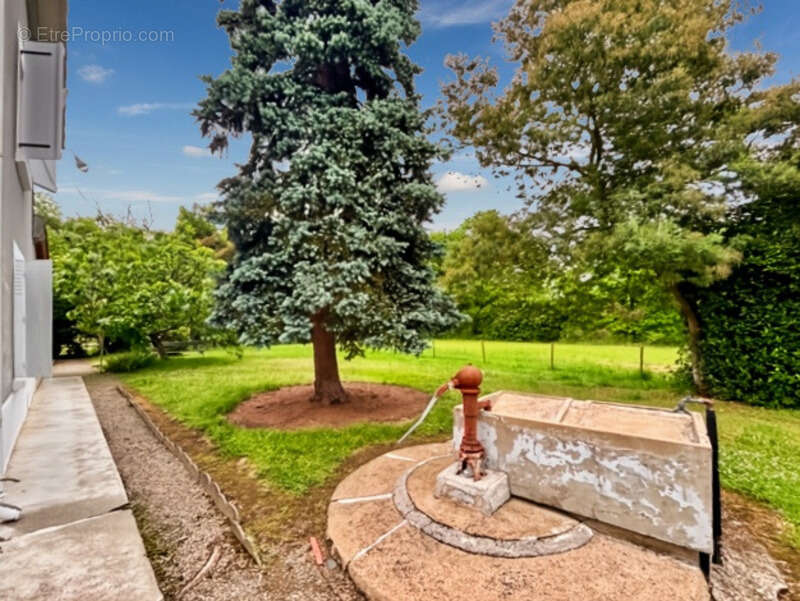 Maison à TRIE-SUR-BAISE