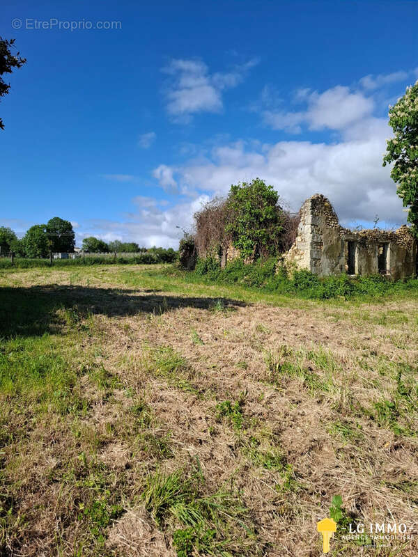 Terrain à SAINT-GEORGES-DES-AGOUTS