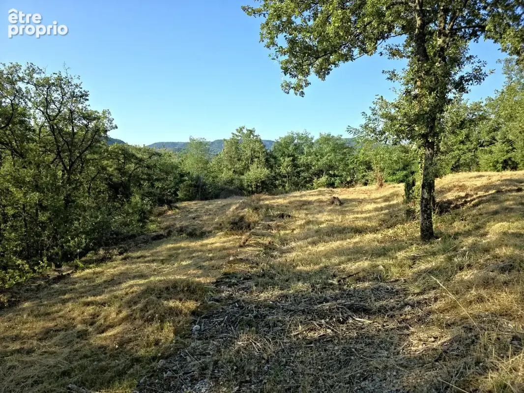 Terrain 1 045 m² à vendre à Coux (07000) - photo 3