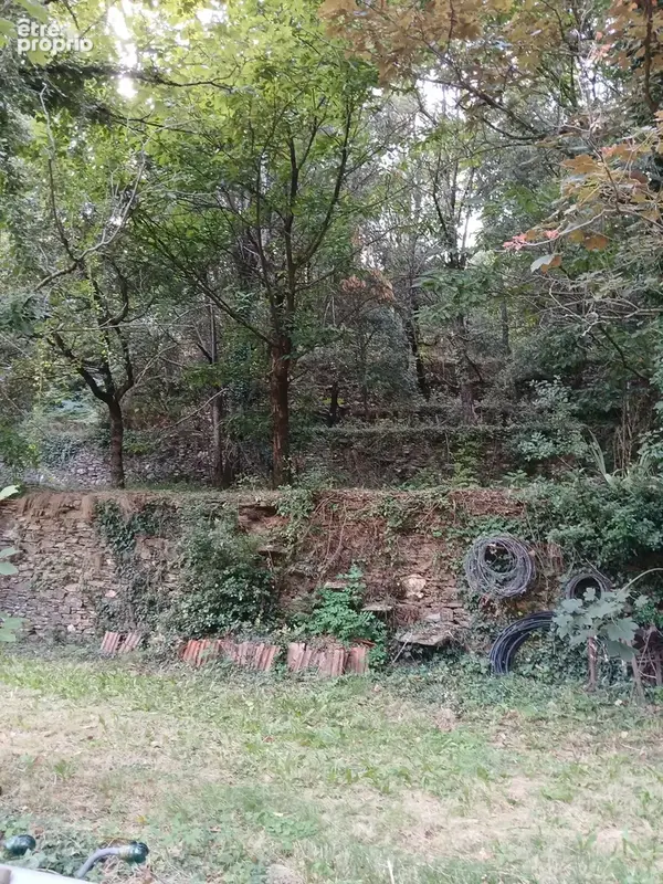 MAS 360 de volume + 25 hectares. - photo 10