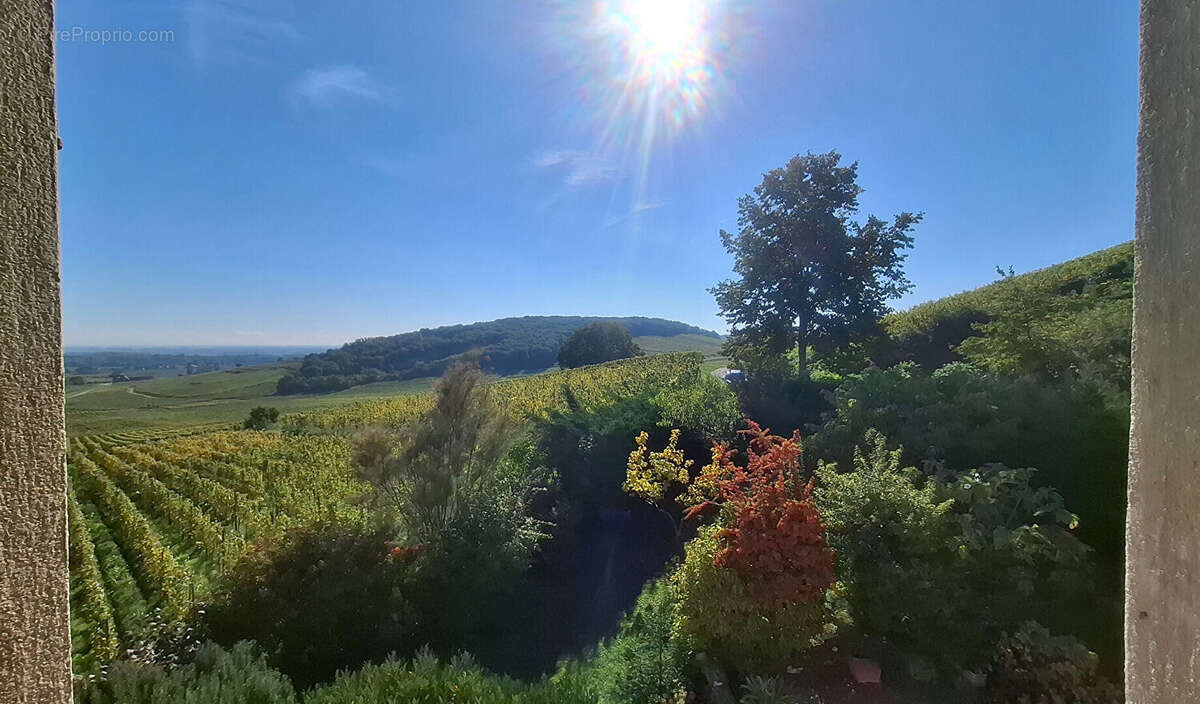 Maison à KATZENTHAL