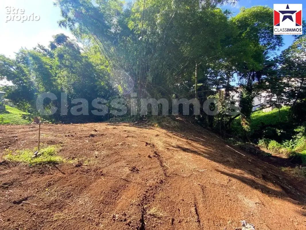 Terrain 1 882 m² à vendre à Le Lamentin (97232) - photo 8