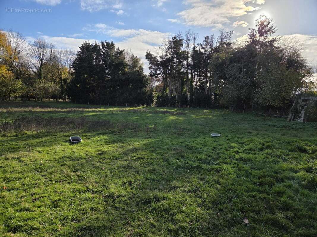 Terrain 3401 m² à Menil  - photo 3