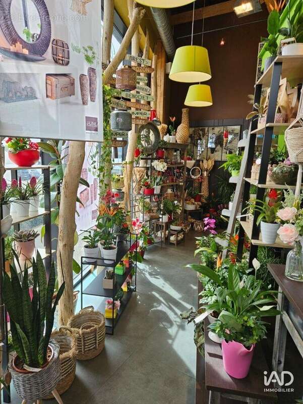 Photo 3 - Commerce à CARHAIX-PLOUGUER