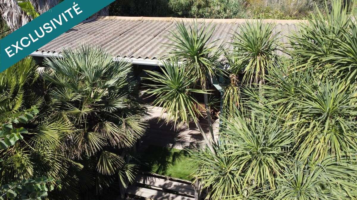 Photo 3 - Commerce à VILLELONGUE-DE-LA-SALANQUE