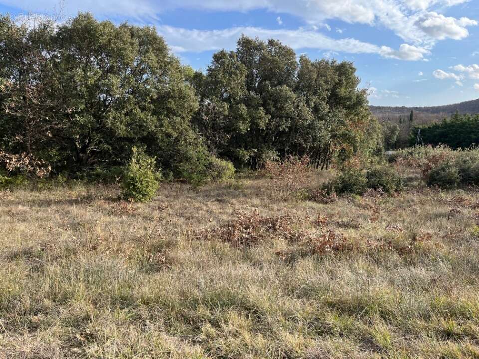 Terrain à GRIGNAN