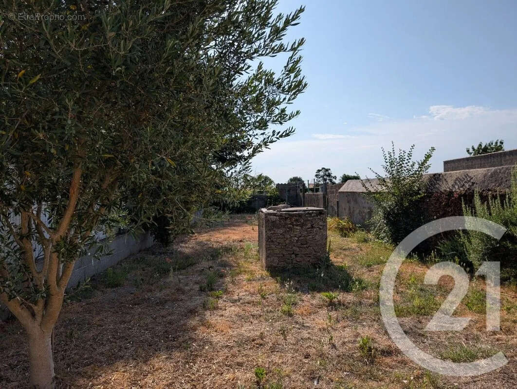 Maison 63 m² à Talmont-Saint-Hilaire  - photo 8