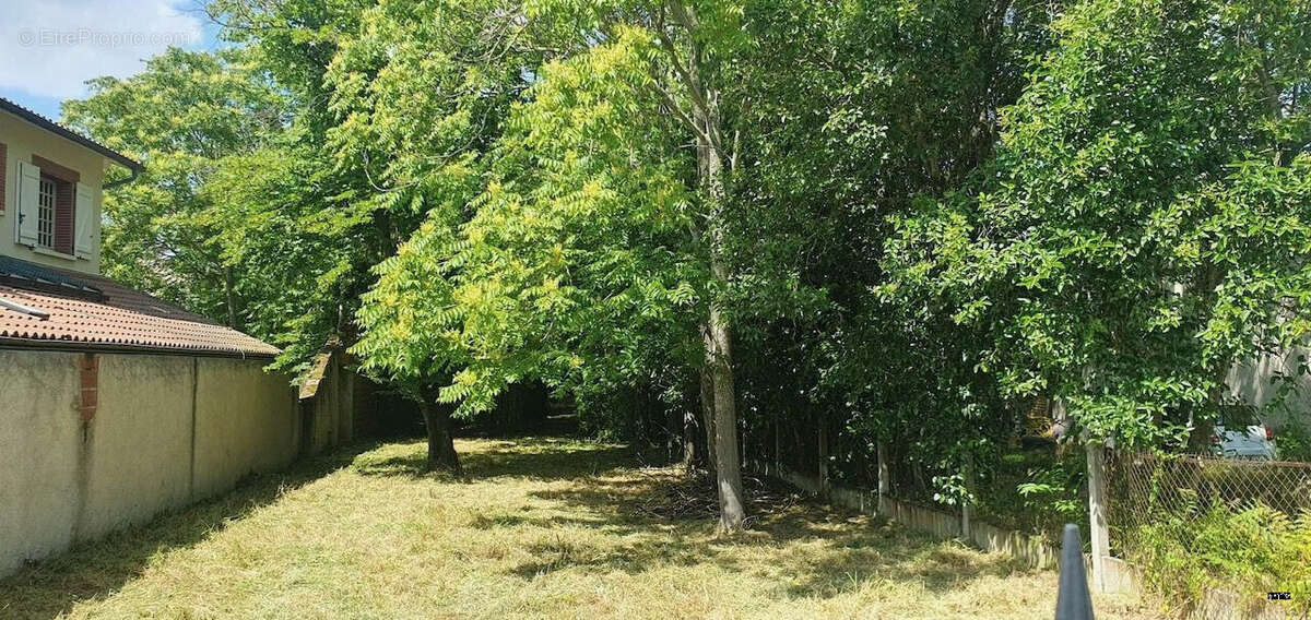 Terrain à COLOMIERS