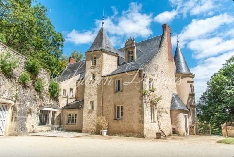Propriete à vendre 18 pièces proche de TOURS (37) - photo 2