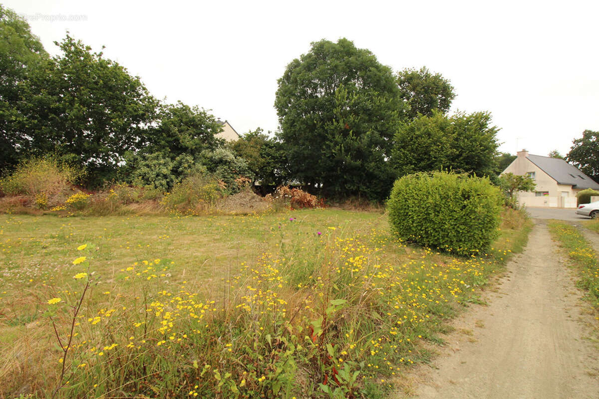 Terrain à SAINT-QUAY-PORTRIEUX