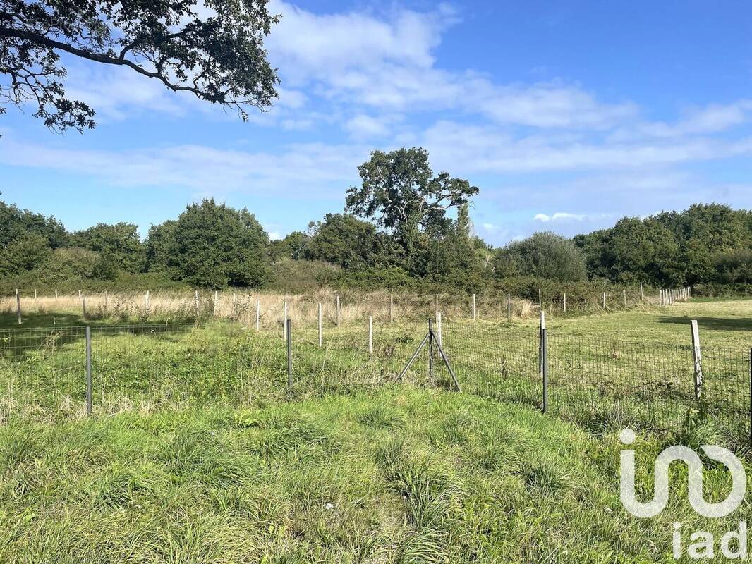 Photo 1 - Maison à SAINT-LYPHARD