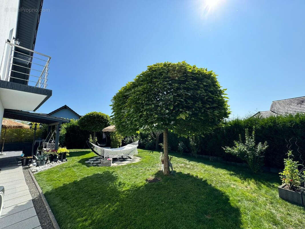 Maison à SARREGUEMINES