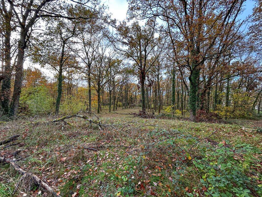 Maison à MERY-SUR-CHER