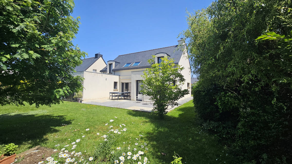 Maison à ORGERES